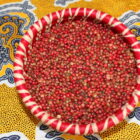 Baies roses de Madagascar panier IMG 0529 web