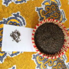 Poivre sauvage de Madagascar panier presentation IMG 0524 web